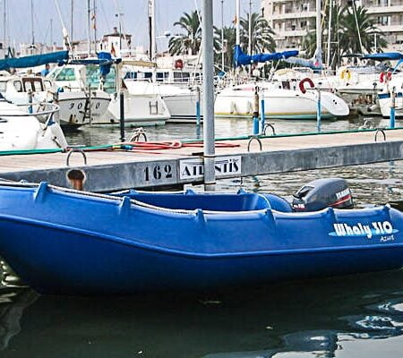 lancha-hdpe-whaly-310-8